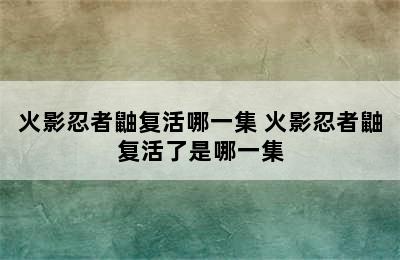 火影忍者鼬复活哪一集 火影忍者鼬复活了是哪一集